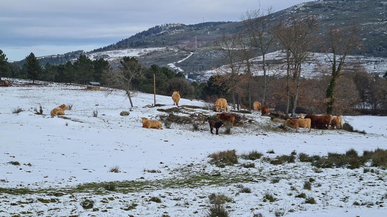 Quinta De Santo Estevao Hotel Rural アギアル・ダ・ベイラ エクステリア 写真