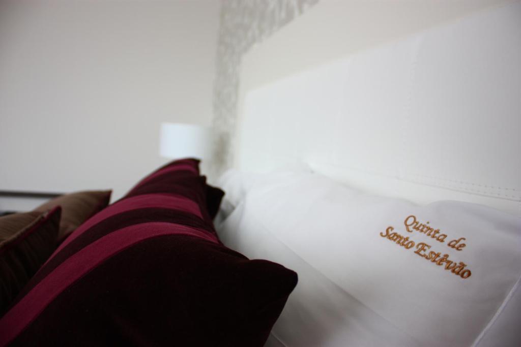 Quinta De Santo Estevao Hotel Rural アギアル・ダ・ベイラ エクステリア 写真